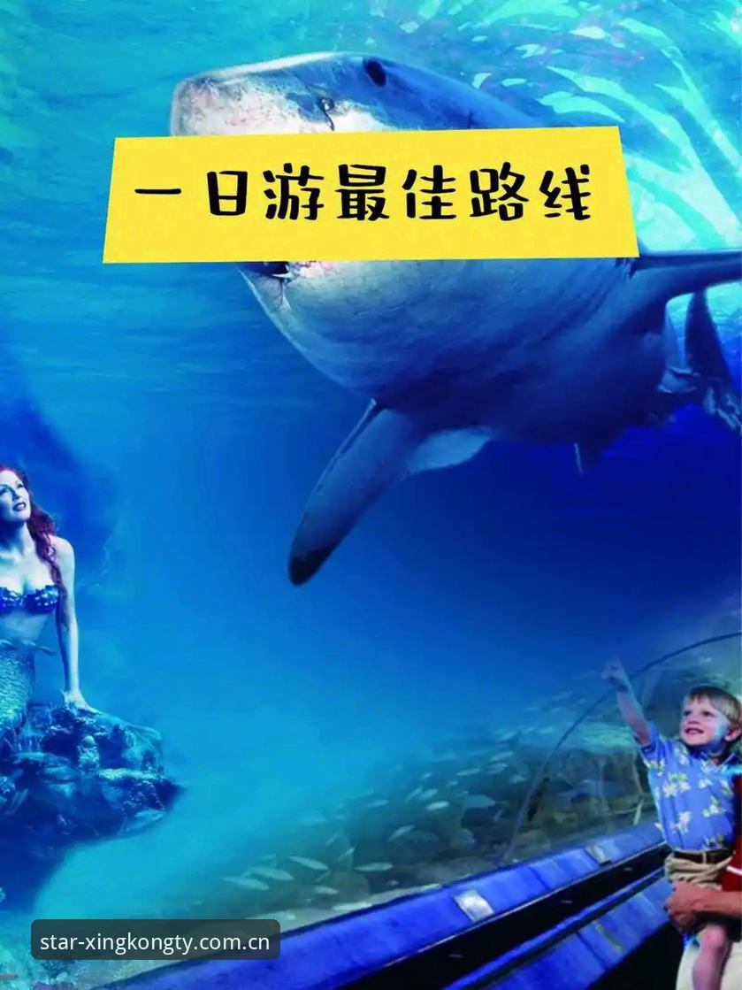 星空体育怎么样推荐：2024年综合体育平台深度解析