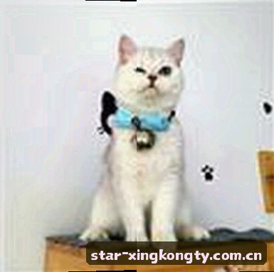 王磊